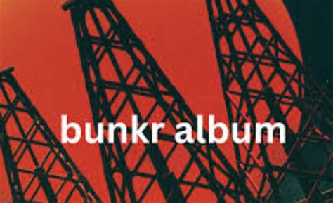 bunkrr su albums|The Magnetic World of Bunkr Albums: An In.
